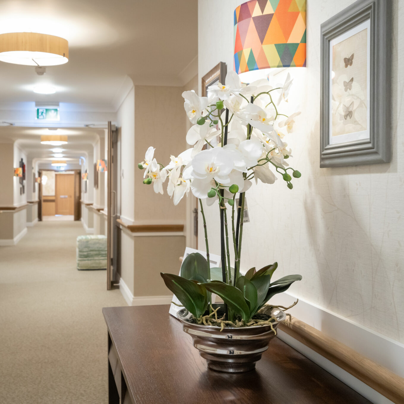 Hallway with plant on table at Elmbrook Court Care Home in Oxfordshire