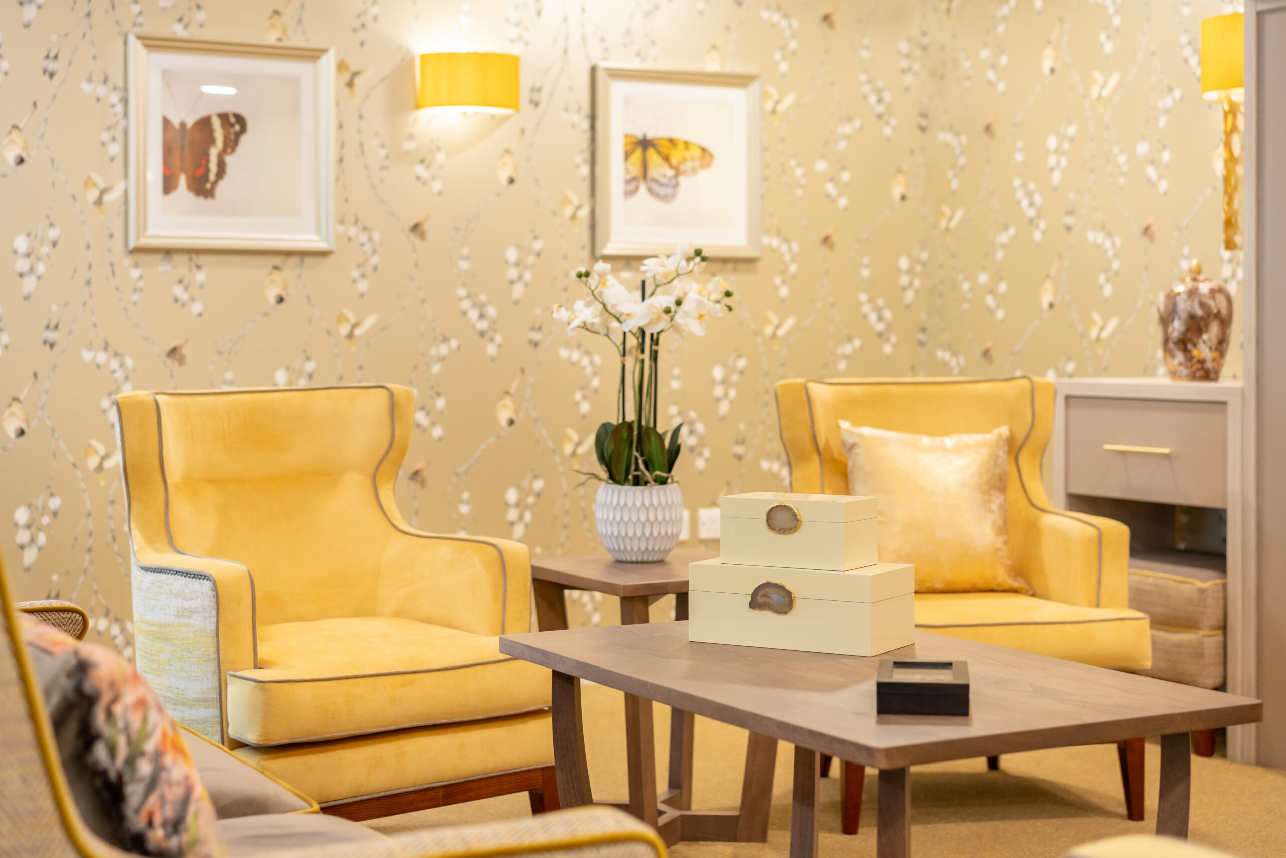 Lounge area with butterly pictures on wall at Birchwood Heights Care Home